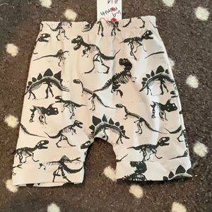 Baby Dinosaut shorts